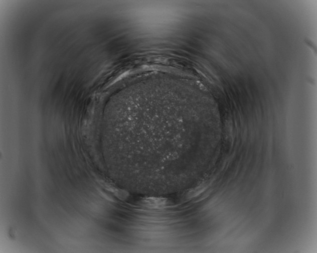 X0000095130328200801041253