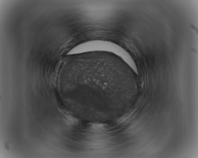 X0000095130332200801041253