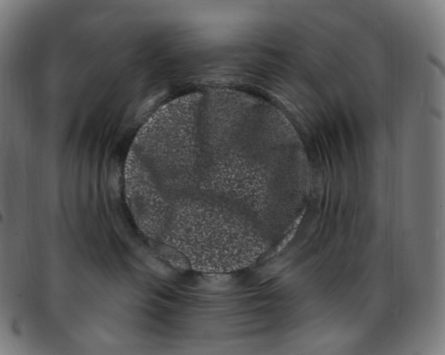 X0000095130334200801041253