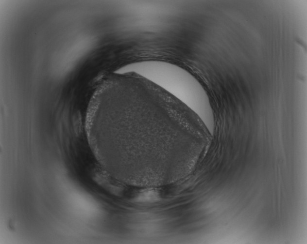 X0000095130335200801041252