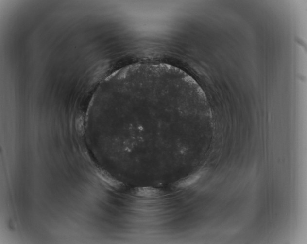 X0000095130336200801041252