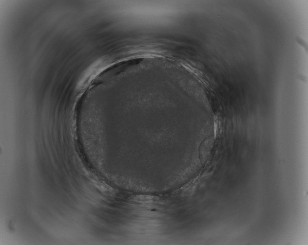 X0000095130339200801041252