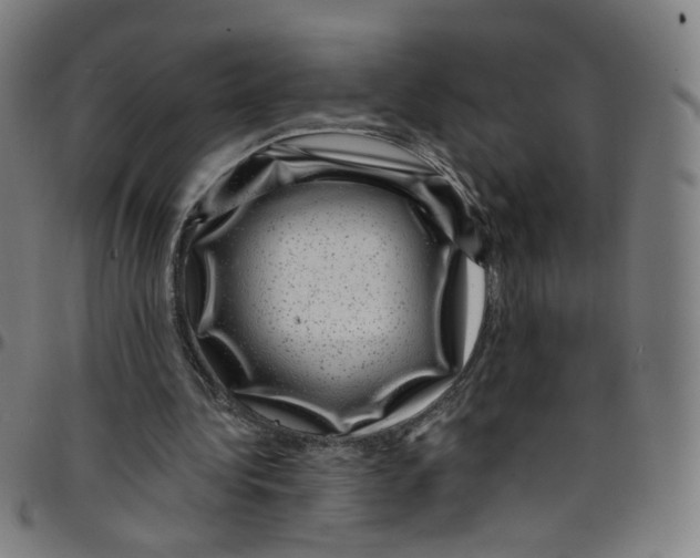 X0000095130340200801041252