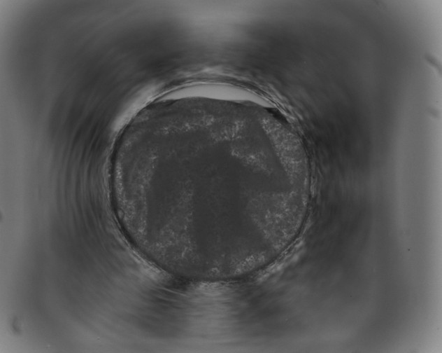 X0000095130341200801041252