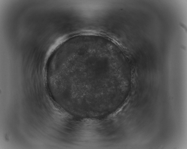 X0000095130343200801041252