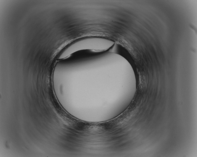 X0000095130348200801041252