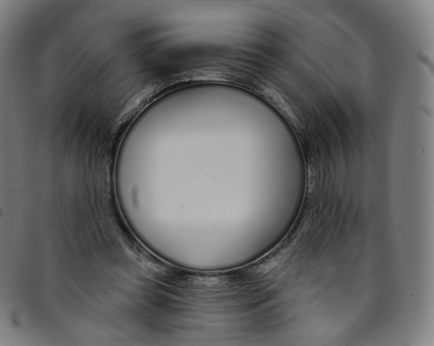 X0000095130349200801041252