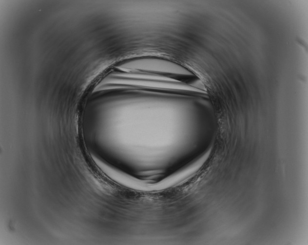 X0000095130350200801041252