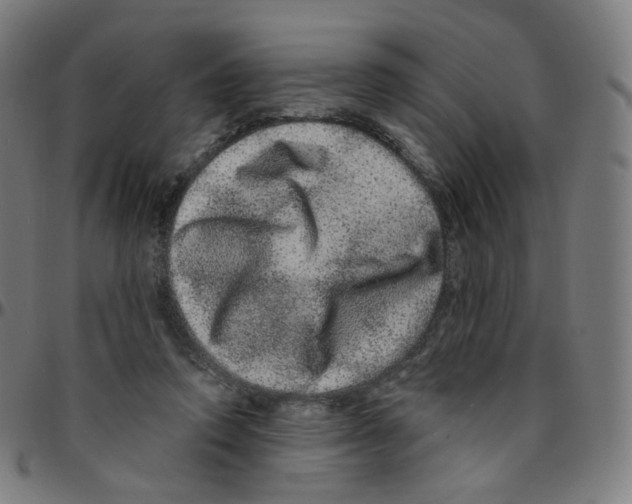 X0000095130354200801041252