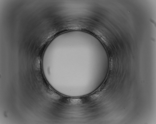 X0000095130355200801041252