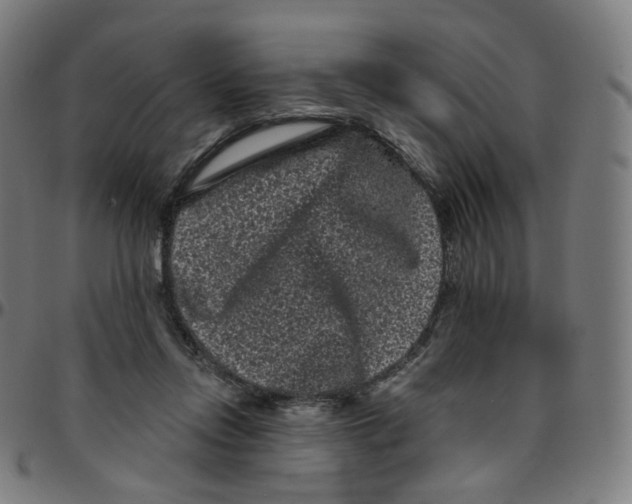 X0000095130358200801041252