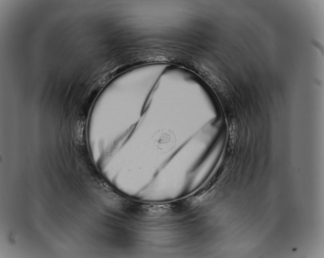 X0000095130359200801041252