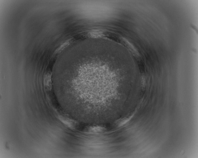 X0000095130360200801041252