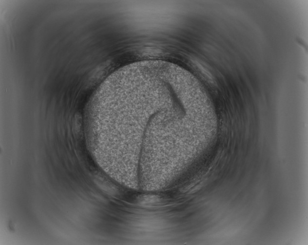 X0000095130361200801041252