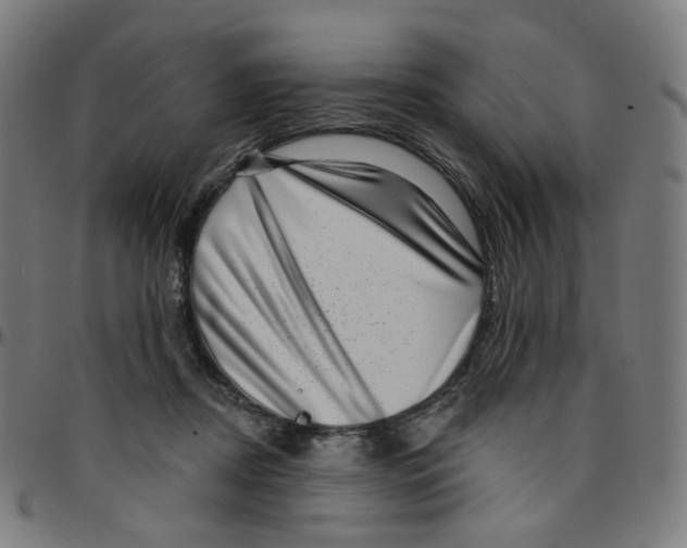 X0000095130362200801041252