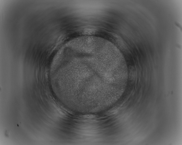 X0000095130363200801041252