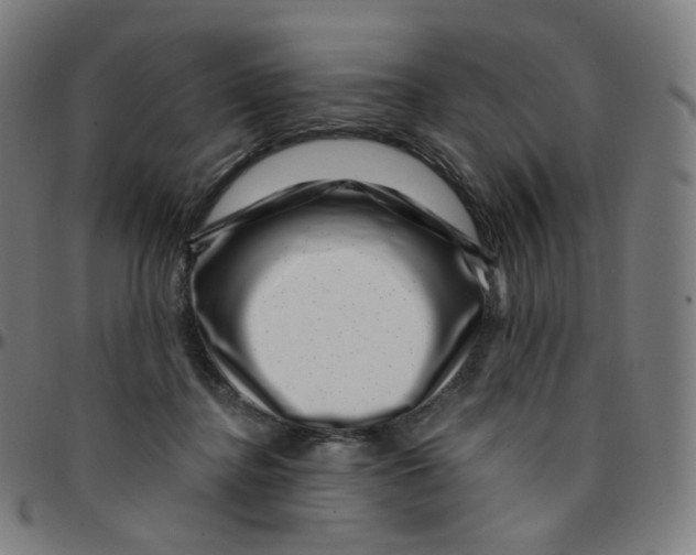 X0000095130364200801041252