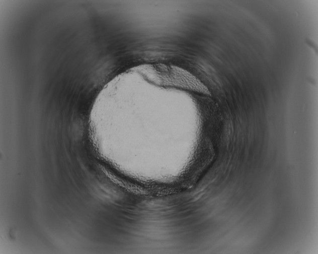 X0000095130367200801041252