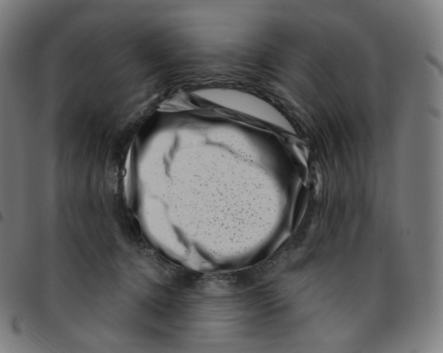 X0000095130368200801041252