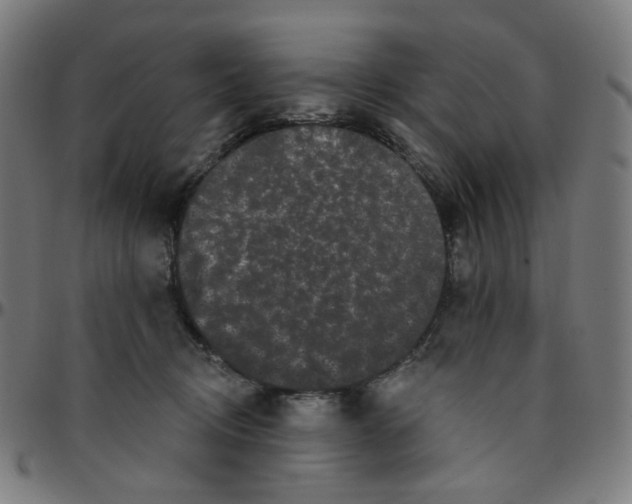 X0000095130370200801041252