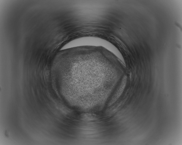 X0000095130372200801041252