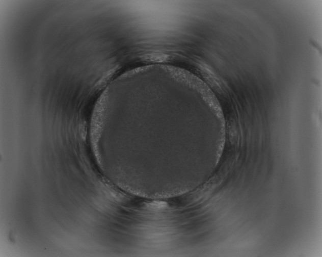 X0000095130374200801041252