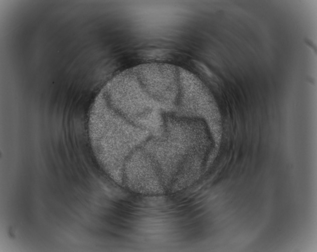 X0000095130377200801041252