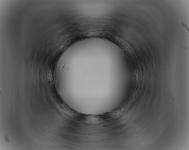 X0000095130380200801041252