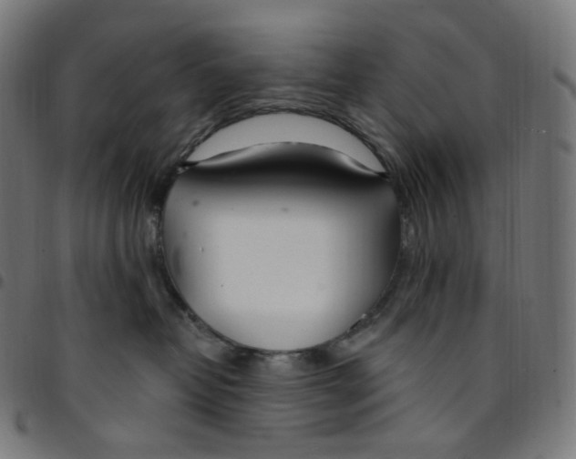 X0000095130382200801041252