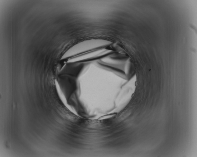 X0000095130384200801041252