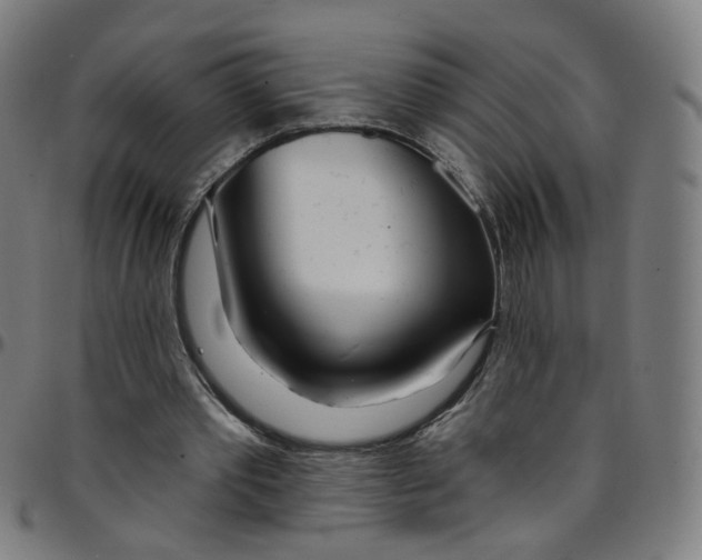 X0000095130389200801041252