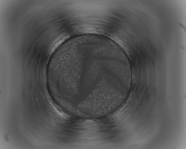 X0000095130390200801041252