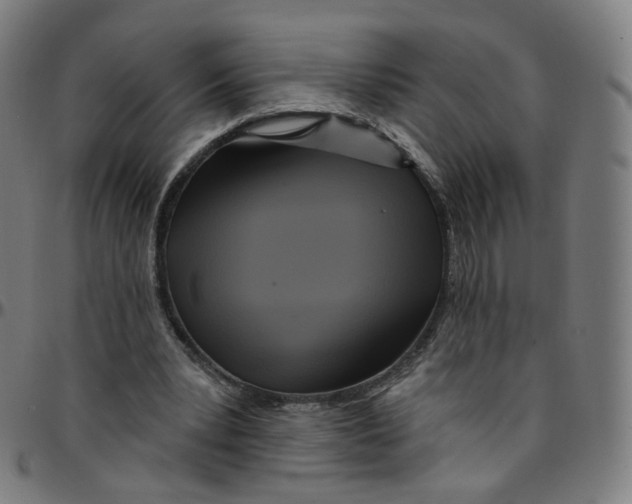 X0000095130391200801041252