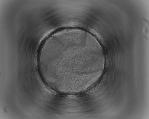 X0000095130392200801041252