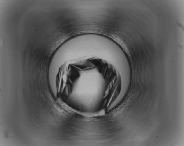 X0000095130393200801041252