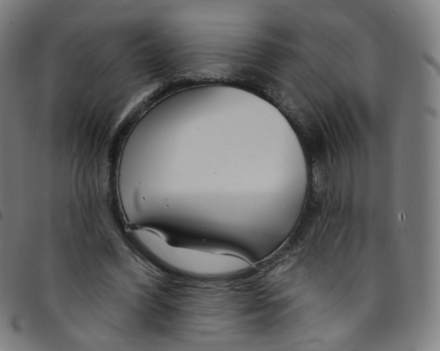 X0000095130396200801041251