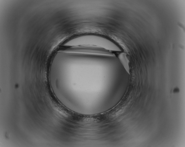 X0000095130399200801041251