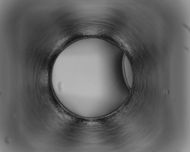 X0000095130400200801041251