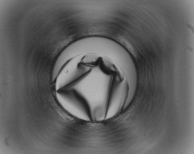 X0000095130401200801041251