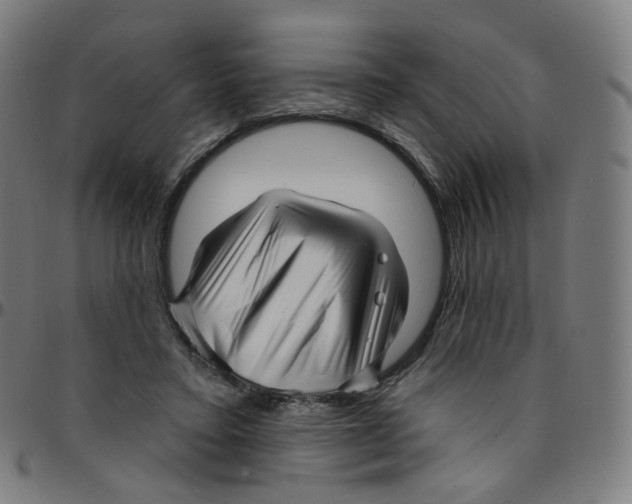 X0000095130403200801041251