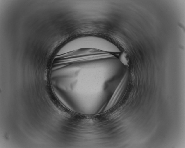 X0000095130404200801041251