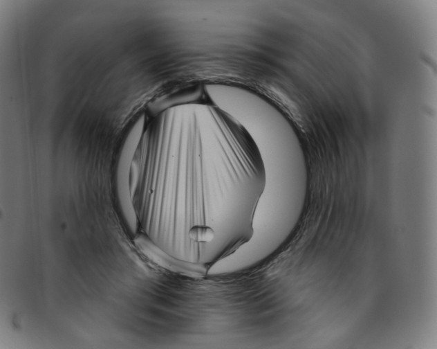 X0000095130405200801041251