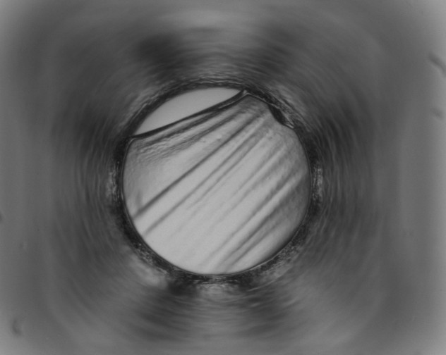 X0000095130408200801041251