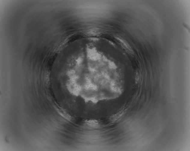 X0000095130409200801041251