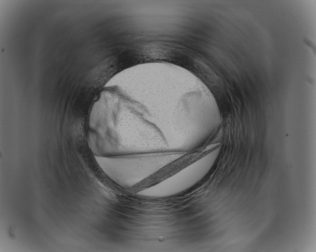 X0000095130410200801041251