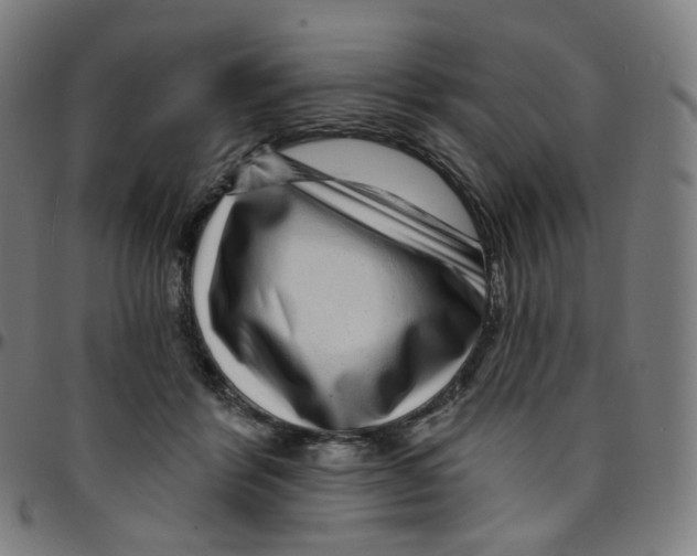 X0000095130412200801041251