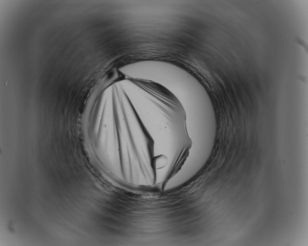 X0000095130413200801041251