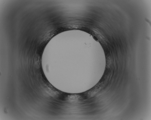 X0000095130414200801041251