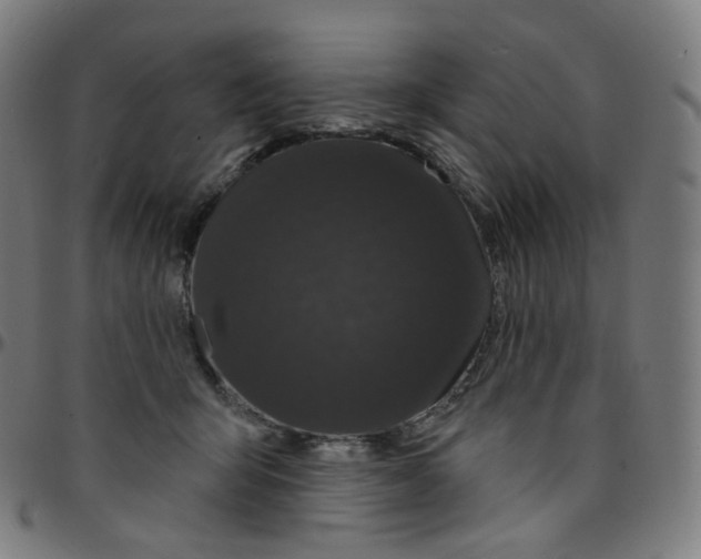 X0000095130415200801041251