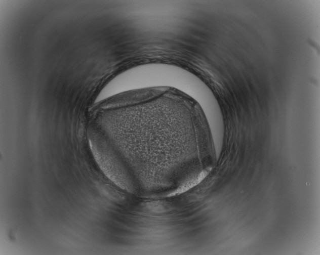 X0000095130417200801041251